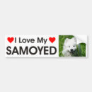 Search for sammy bumper stickers Dog