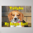 Search for grumpy posters Funny