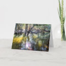 Search for ripples cards Reflection