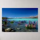 Search for lake tekapo posters New zealand