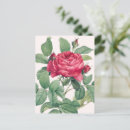 Search for rose leaves postcards Flowers