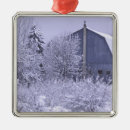 Search for barn christmas tree decorations Rural
