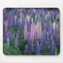 Search for shade mousepads Purple