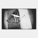 Search for antenna stickers Wings
