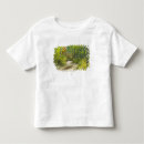 Search for aspens tshirts Road