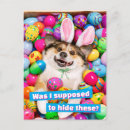 Search for puppy invitations Easter