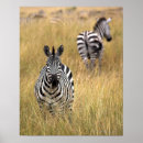 Search for tall posters Outdoors