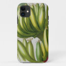 Search for banana tree electronics Botanical