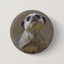 Search for kat badges Cute