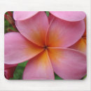 Search for plumeria mousepads Pink