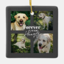 Search for unique pet memorials Forever in our hearts