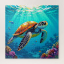 Search for sea turtles puzzles Colourful