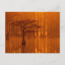 Search for state tree postcards Cypress