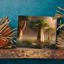 Search for baobabs Madagascar