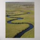Search for wild africa posters Travel