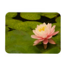 Search for water drop magnets Pink