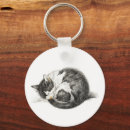 Search for low lying key rings Cat