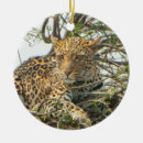 Search for jaguar christmas tree decorations Leopard