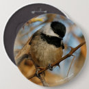 Search for chickadee bird badges Songbird