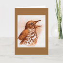 Search for pencil sketch cards Bird