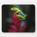 Search for tom mousepads Frog