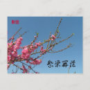 Search for prosperity postcards Chinese