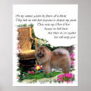 Search for chow posters Pets