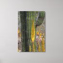 Search for habitat canvas prints Flora