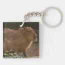 Search for capybara key rings Giant
