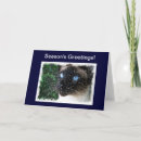 Search for siamese christmas cards Winter