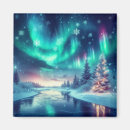 Search for frozen magnets Winter