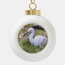 Search for egret christmas tree decorations Nature