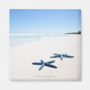 Search for sealife magnets Nature
