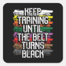 Search for belts stickers Taekwondo