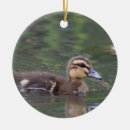 Search for ducklings christmas tree decorations Animals