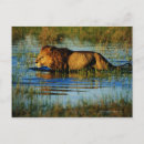 Search for okavango delta postcards Animals in the wild