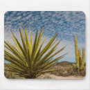 Search for mexican electronics Desert