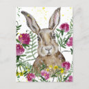 Search for funny easter postcards Cute
