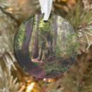 Search for sequoia national park christmas tree decorations Forest