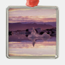 Search for frozen christmas tree decorations Glacial