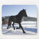 Search for competitions mousepads People