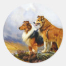 Search for collie dog stickers Collies