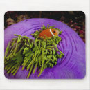 Search for windflower mousepads Animals