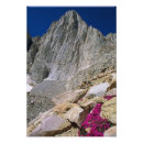 Search for whitney posters Landscape