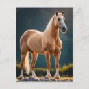 Search for quarters postcards Flowers