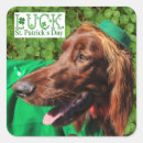 Search for lucky clover stickers Leaves
