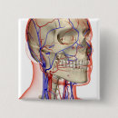 Search for human head badges Face
