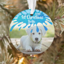 Search for splash christmas tree decorations Pet