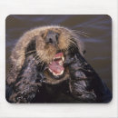 Search for bradley mousepads Marine life
