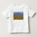 Search for country road tshirts Mountain